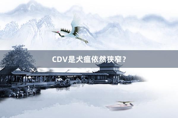 CDV是犬瘟依然狭窄？